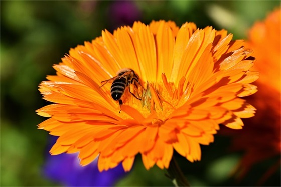 企业文化价值观标语