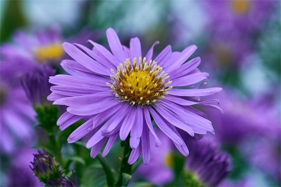 出租车口号42句