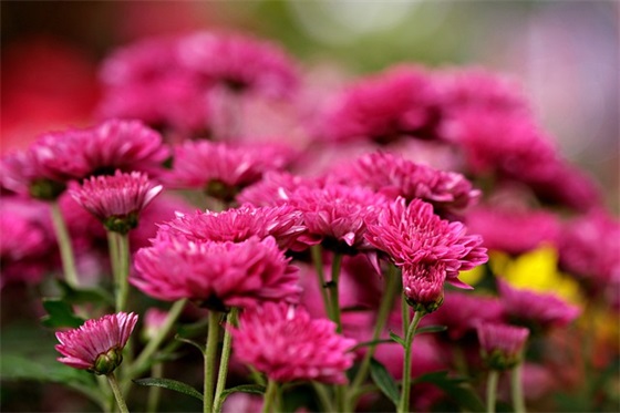 精选的仓库标语大全 成品仓库标语大全