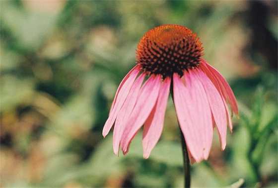 2026世界读书日主题活动横幅口号