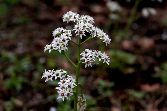 2026年关于大学生创业创意口号 创新创业团队口号(精选3