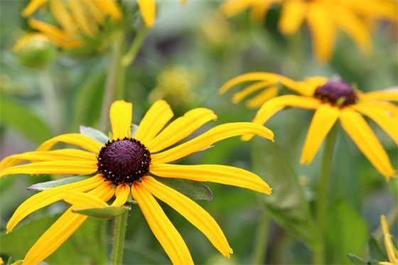 早会激励团队正能量的口号