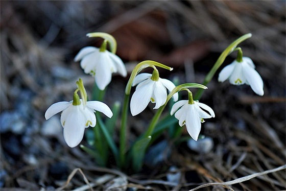 青少年禁烟标语2026 禁止青少年吸烟的标语