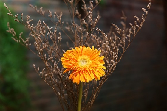 节约粮食的宣传语100字 节约粮食宣传口号大全
