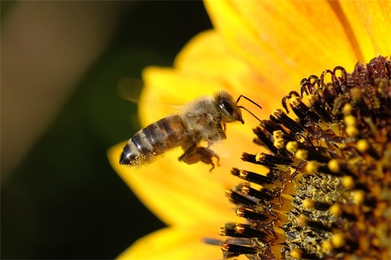 g20峰会标语50句