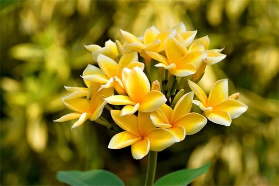 环保标语固废处理47句