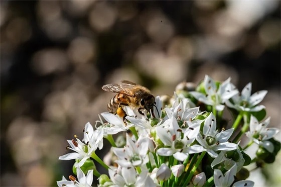 预防艾滋病创意标语 预防艾滋病创意宣传标语