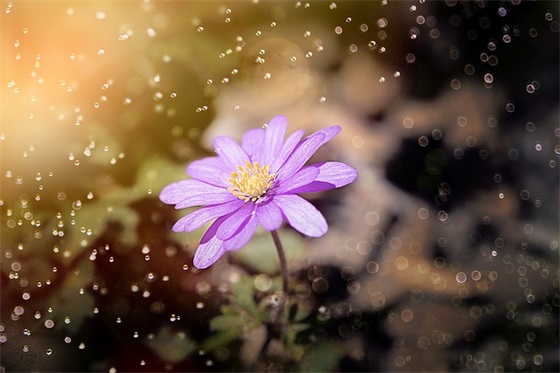 2026防汛抗洪抢险宣传横幅标语大全