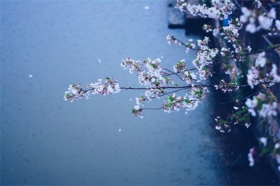 辅导班最霸气宣传口号 辅导班招生宣传语