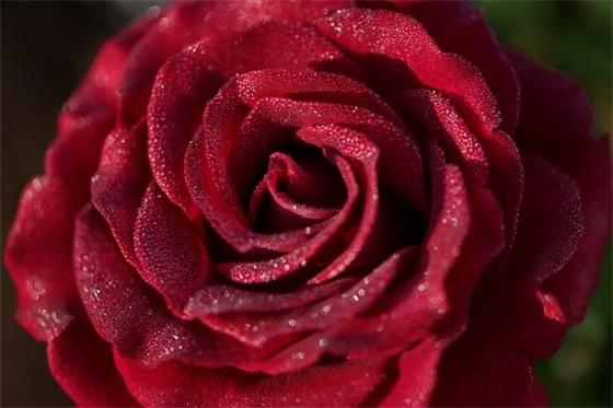 最新的企业管理标语大全 企业管理标语大全