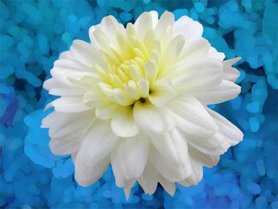 最霸气的开门红口 2026银行开门红霸气口号