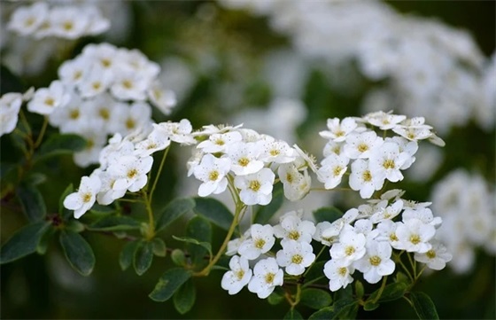 喝酒心情优美句子 表达喝酒的心情句子文案