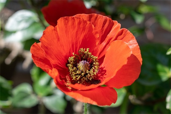 2026鼓励别人的句子