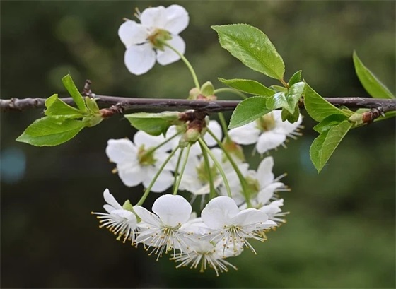 讽刺感情的句子 讽刺爱情虚伪的句子