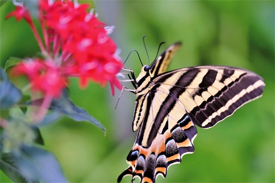关于开学的句子 关于开学的名段