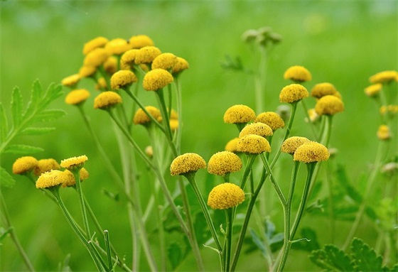 不懂感恩句子 不懂感恩孩子的句子