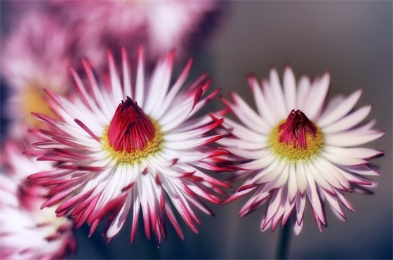 忘不掉前任的伤感句子 怀念前任的伤感句子