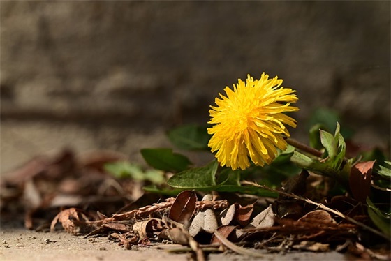 欢迎从外地回来的句子