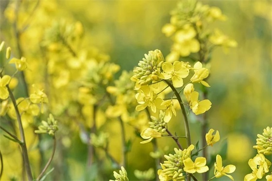 关爱自闭症儿童温馨句子文案 关爱自闭症儿童宣传语