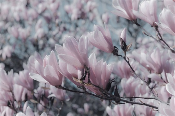 爱错了人伤心句子精选