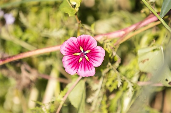 人在旅途励志的句子