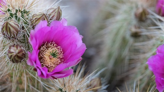 心痛难过的真实句子 痛到心碎的句子