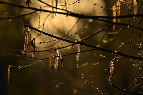 关于过客的伤感句子17句