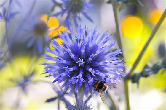 缠绵的抒情句子