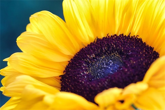 领导祝福语大全 对祖国的祝福语大全(精选96句)