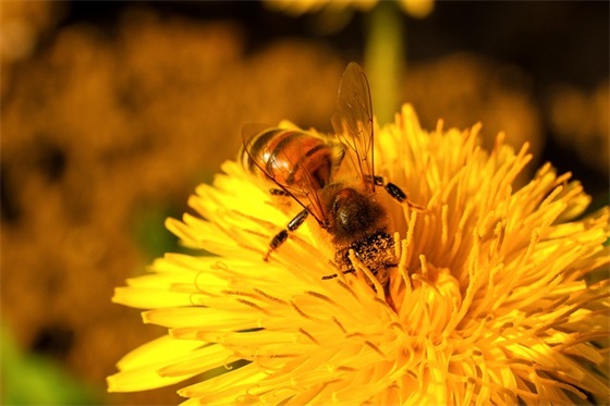 做生意开业祝福语大全 做生意祝福语大全(精选89句)