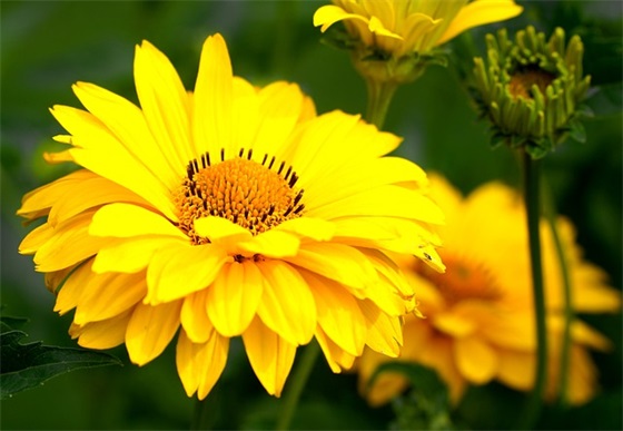 2026给父母的春节祝福语 春节贺岁祝福短信给家人汇集大全