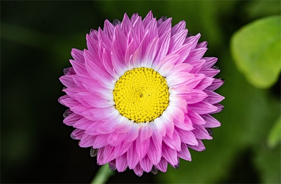 中秋节贺词祝福语简短(精选88句)