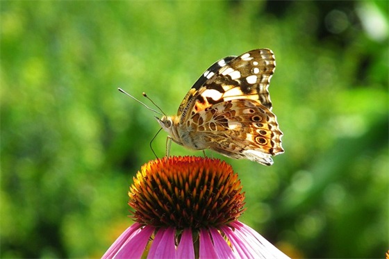 会议室标语口号-52句