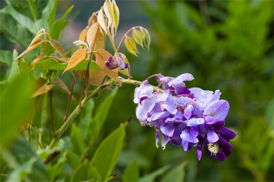 保险公司激励口号-53句