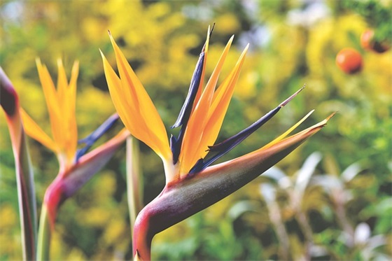 工程技术部门口号-54句