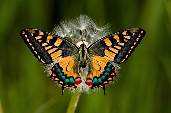 联盟口号标语-54句