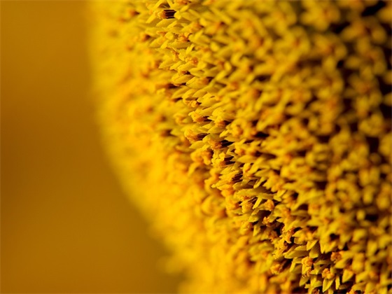 销售励志口号押韵-52句