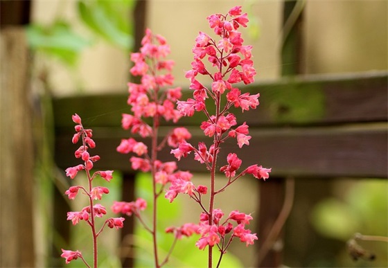 八字激励口号简短-78句