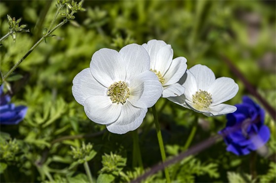 全国城市宣传口号-62句