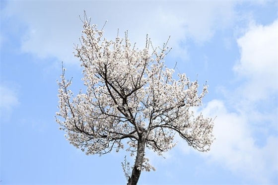 科技节口号 科技节口号押韵