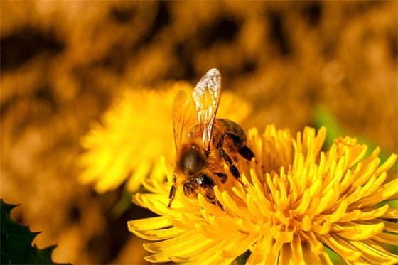 2026抗击疫情标语口号大全最新