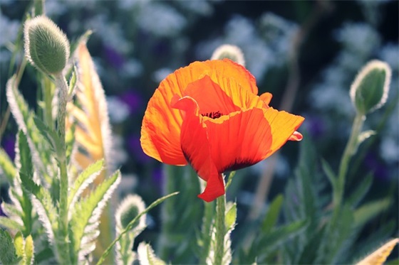 初一年级班级口号-62句