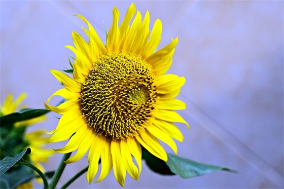 保障供应口号-69句