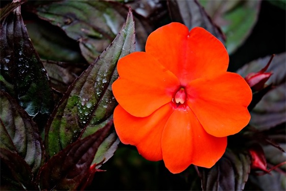 列队口号霸气-61句