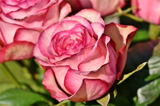 个人口号带名字-73句