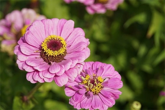 初一年级班级口号-66句