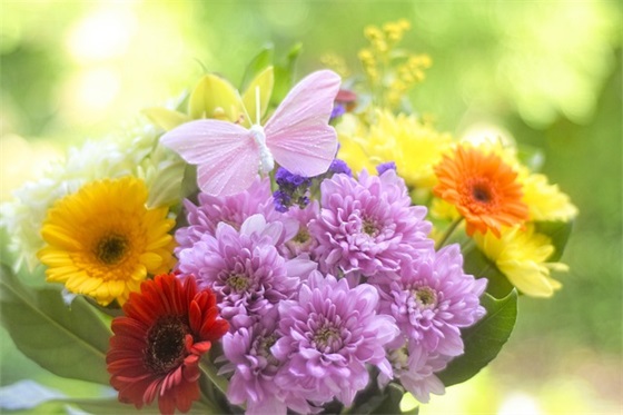 军训口号16个字-62句