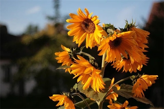 励志口号七个字-73句