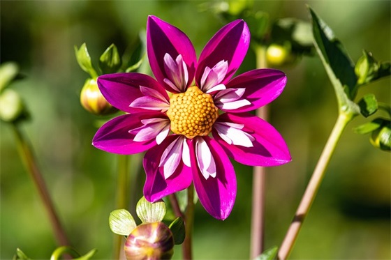 4s店晨会口号-84句