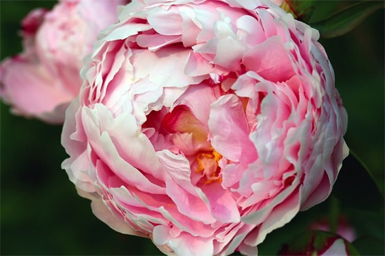 个人参赛口号大全-73句